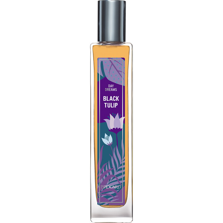 Day Dreams - Black Tulip